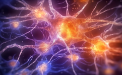 探索真伪之界：科学人工智能与伪科学人工智能的深入剖析