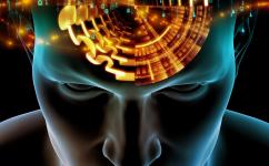 「类脑」AI芯片：模拟人脑的超级计算之道